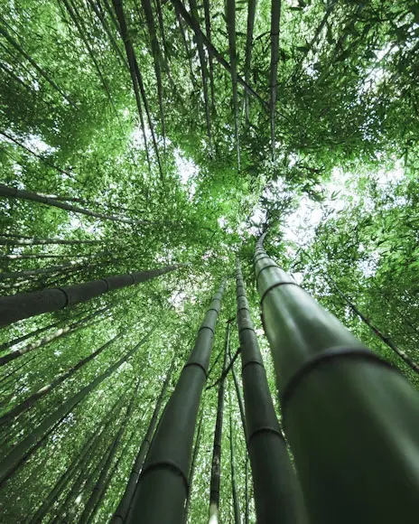 Sustainable Metaverse — S3Future
